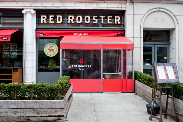 Red-Rooster-1